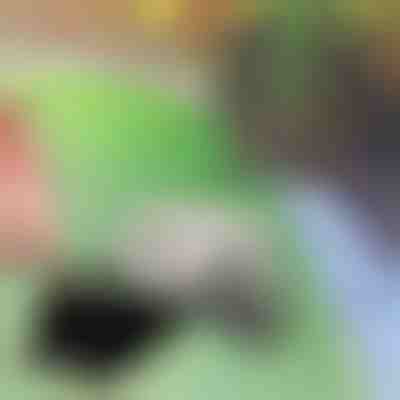 Камък за скриване на ключове | KEYBLEND