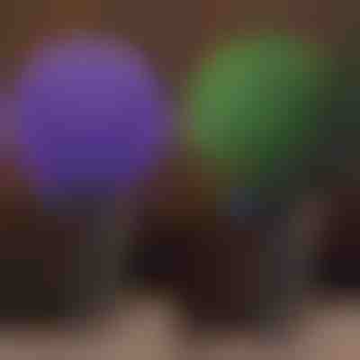 Декоративна растителна топка | TOPIORB