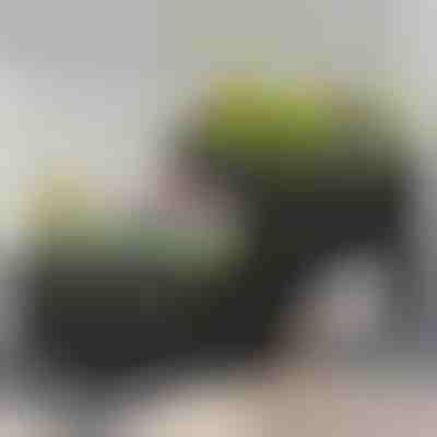 Кутия за отглеждане на градина | BOTANITKO